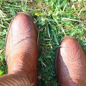 🦈 The Sanders Shark Cowboy Boots | Brown | Men’s 9 D | Round Toe | Exotic Leath